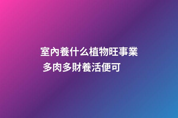 室內養什么植物旺事業 多肉多財養活便可